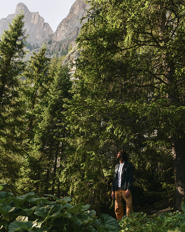 ALPS