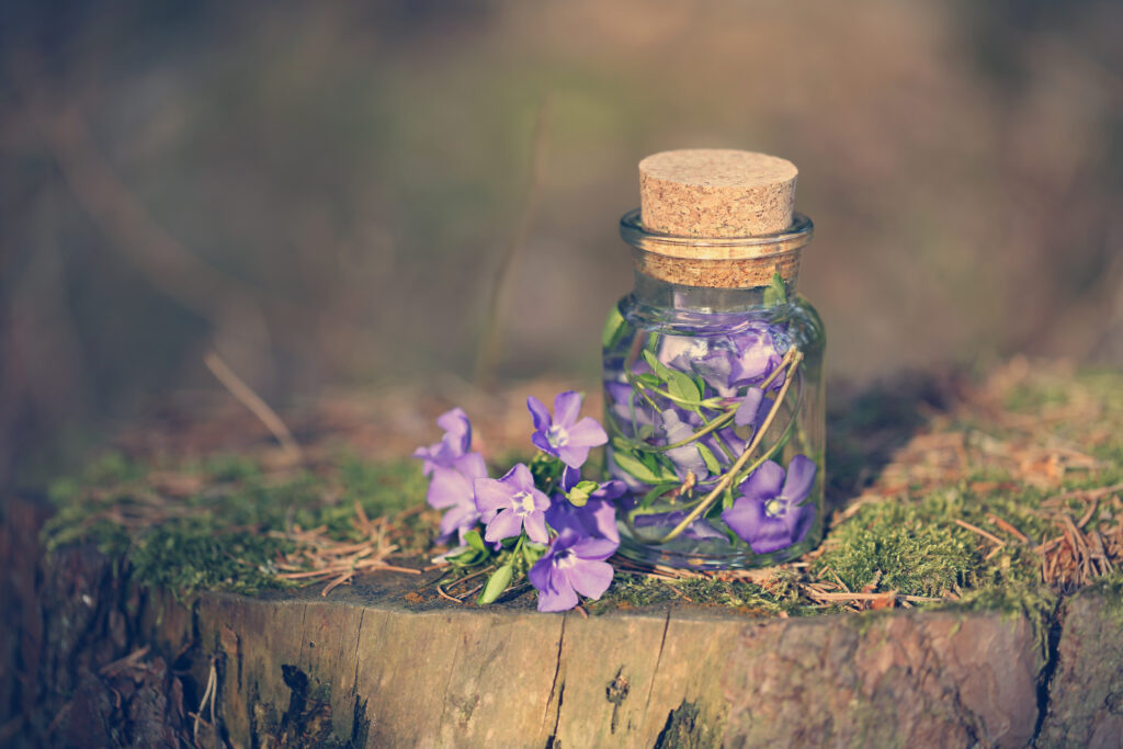 Pozione magica del fiore. Liquido floreale su un ceppo nella foresta. Rappresenta idealmente il concetto bel Bakuchiol, sostanza naturale da utilizzare al posto del retinolo e adatta a tutti i tipi di pelle
