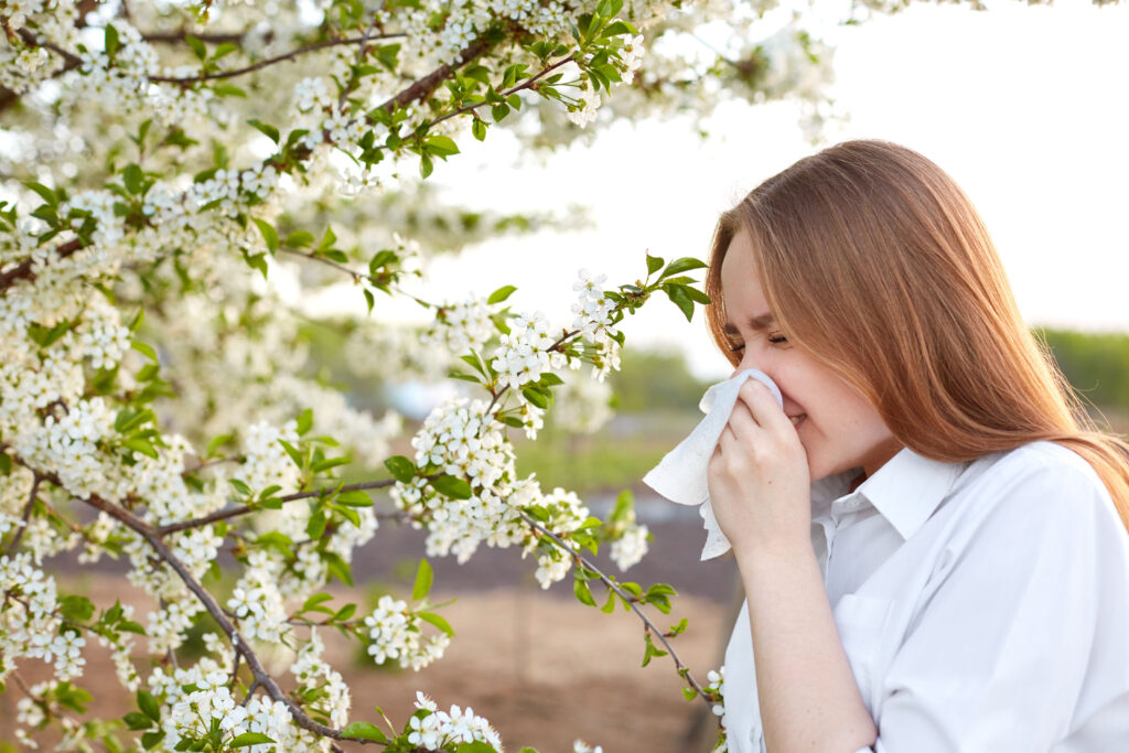 Sintomo di allergie primaverili. Ripresa esterna laterale di una giovane femmina europea che starnutisce nel fazzoletto o si soffia nella salvietta, essendo allergica ai fiori in primavera, sta in piedi davanti a un albero in fiore all'esterno.