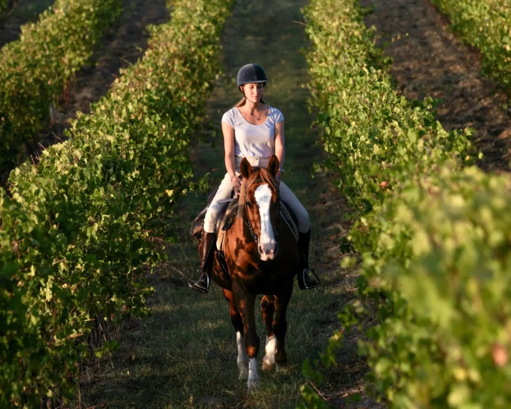 in foto una donna in mezzo ai campi, a passeggio con un cavallo. Rappresenta un regalo per la festa della mamma 2025.